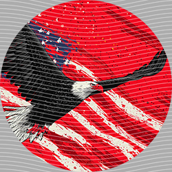 USA-MG 3937